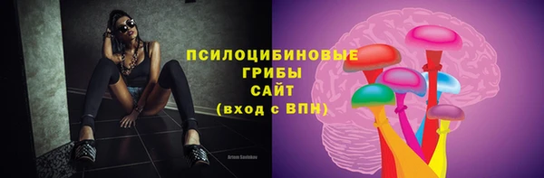 трава Аркадак