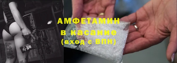 трава Аркадак
