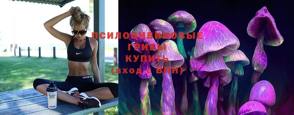 трава Аркадак
