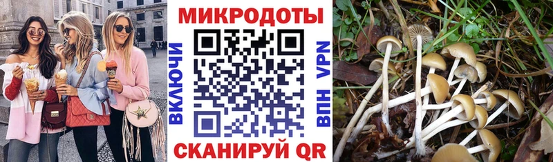 Купить закладки Зеленодольск Псилоцибиновые грибы Magic Shrooms